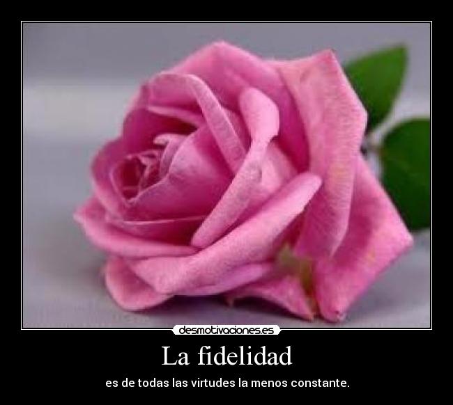 La fidelidad - es de todas las virtudes la menos constante.