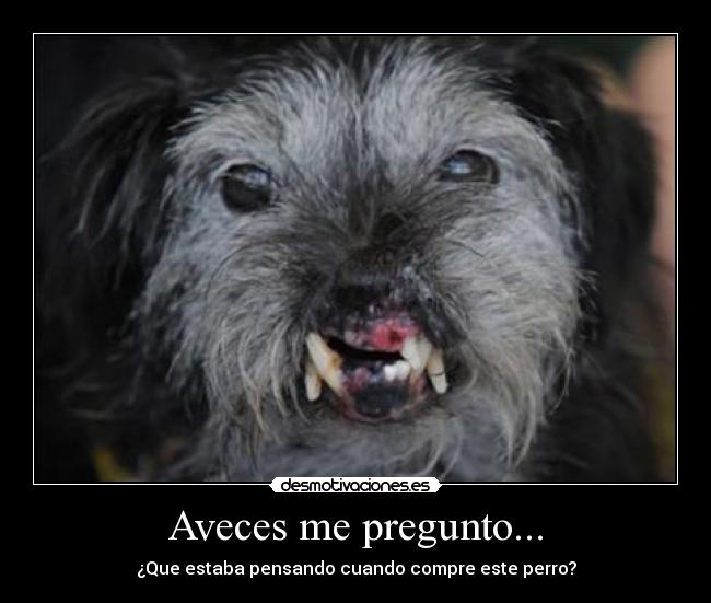 carteles yare avila desmotivaciones