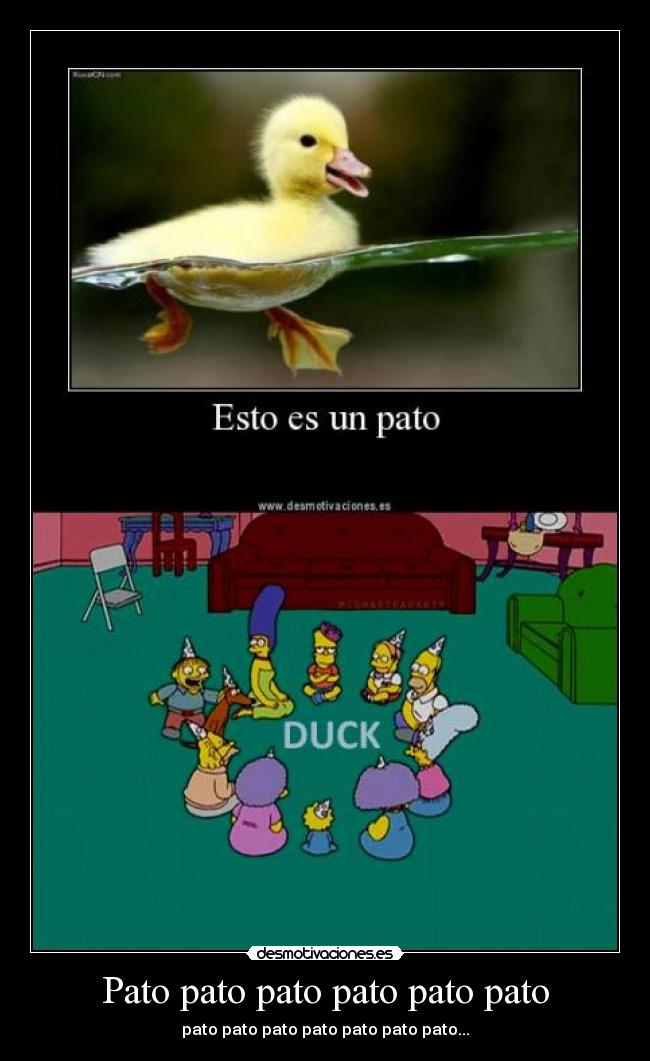 Pato pato pato pato pato pato - pato pato pato pato pato pato pato...