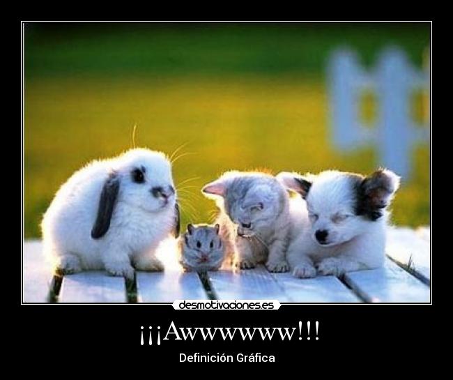 ¡¡¡Awwwwww!!! - 