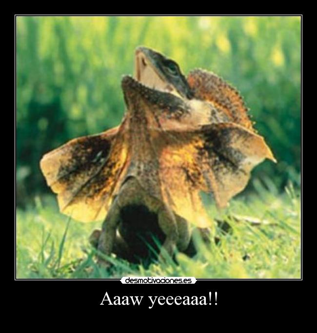 Aaaw yeeeaaa!! - 