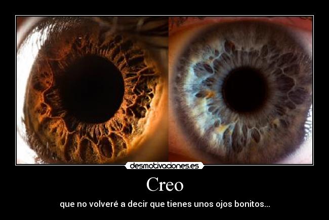 Creo -