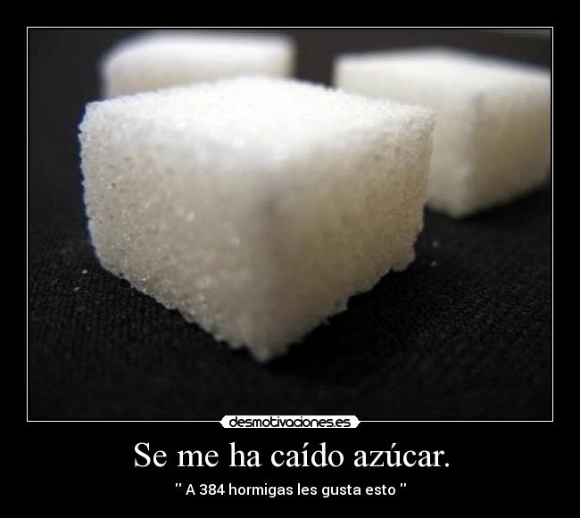 Se me ha caído azúcar. - A 384 hormigas les gusta esto