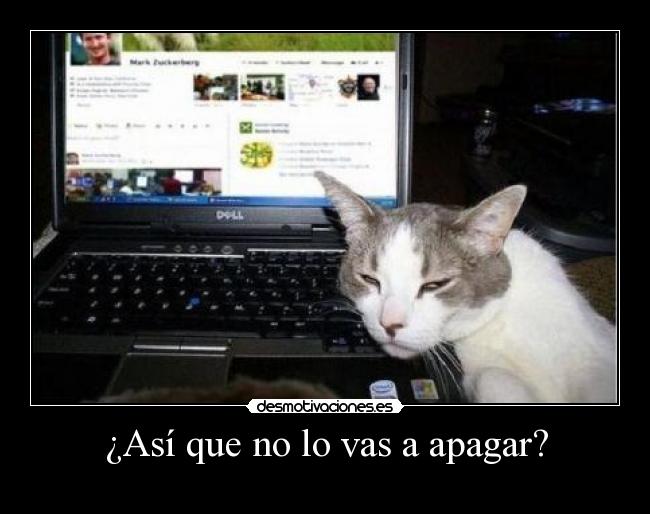 ¿Así que no lo vas a apagar? -