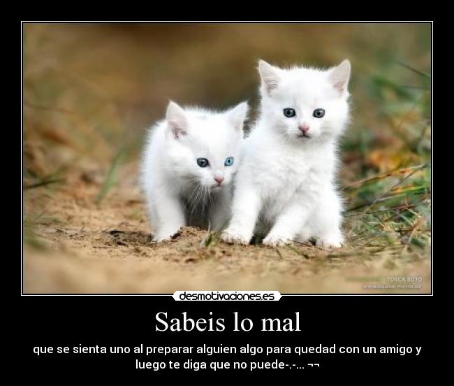 Sabeis lo mal - 