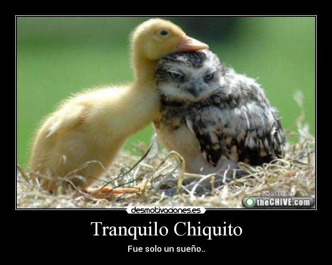 Tranquilo Chiquito - Fue solo un sueño..