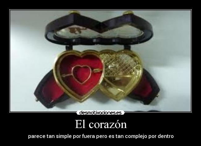 El corazón - parece tan simple por fuera pero es tan complejo por dentro