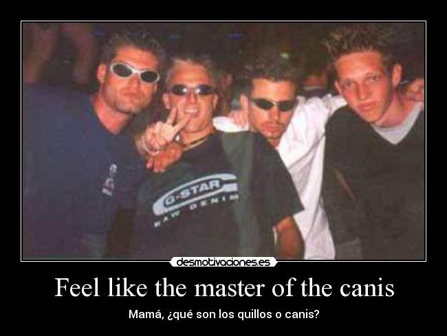 Feel like the master of the canis - Mamá, ¿qué son los quillos o canis?