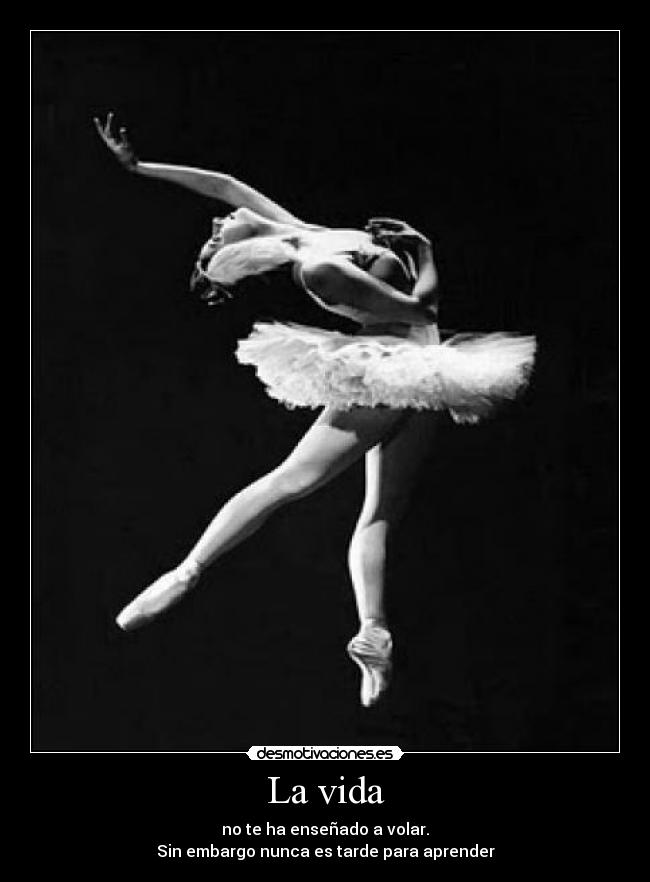 La vida - no te ha enseñado a volar.
Sin embargo nunca es tarde para aprender