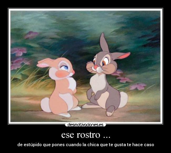 ese rostro ... - de estúpido que pones cuando la chica que te gusta te hace caso