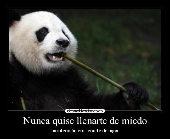 Nunca quise llenarte de miedo - mi intención era llenarte de hijos.