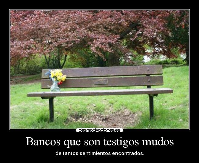 Bancos que son testigos mudos - de tantos sentimientos encontrados.