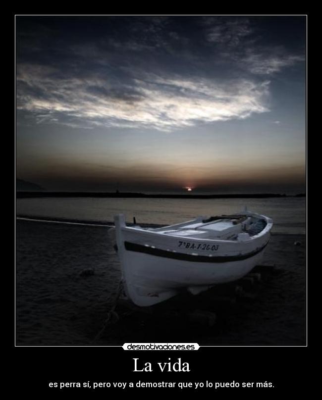 La vida - es perra sí, pero voy a demostrar que yo lo puedo ser más.