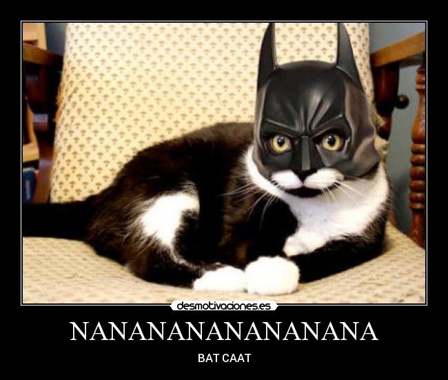 NANANANANANANANA - BAT CAAT