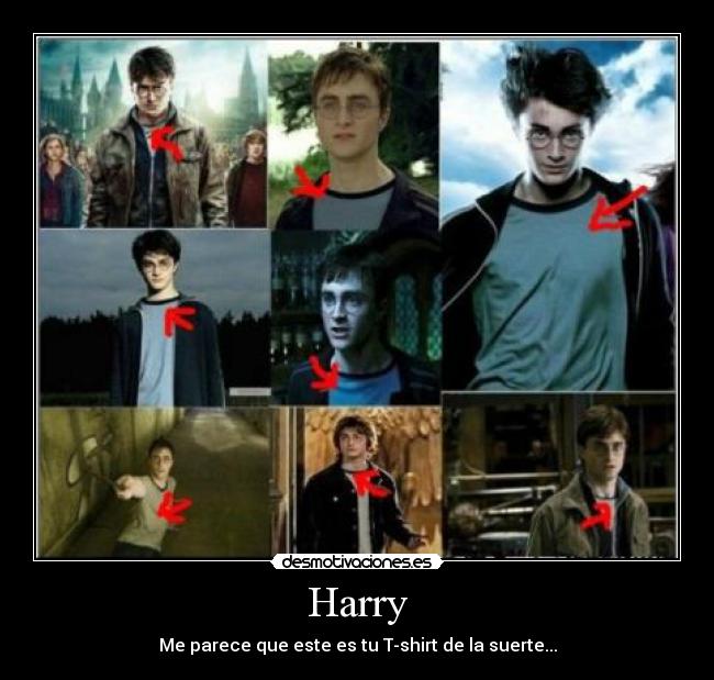 Harry - Me parece que este es tu T-shirt de la suerte...