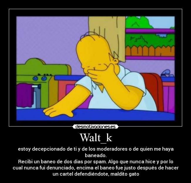Walt_k - estoy decepcionado de ti y de los moderadores o de quien me haya
baneado.
Recibi un baneo de dos dias por spam. Algo que nunca hice y por lo
cual nunca fui denunciado, encima el baneo fue justo después de hacer
un cartel defendiéndote, maldito gato