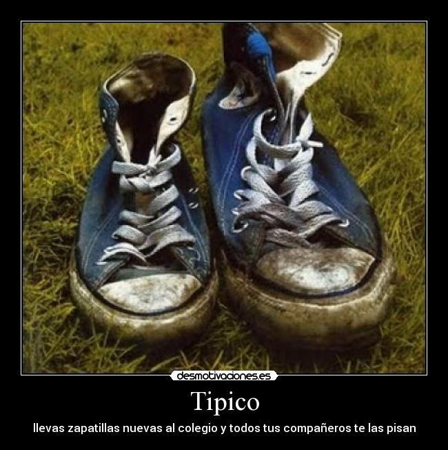 Tipico - 