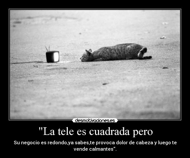 carteles desdelafrontera guardalo bien hate xhelazz hodio desmotivaciones