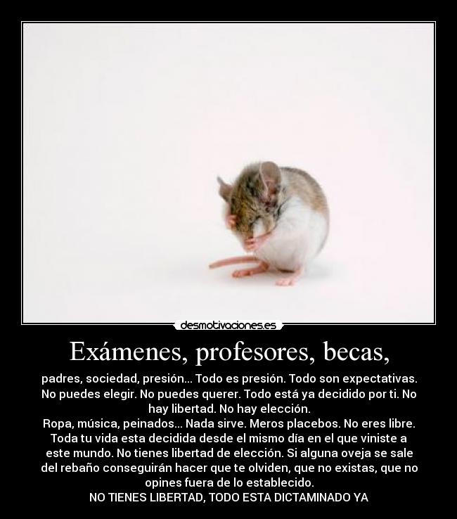Exámenes, profesores, becas, - padres, sociedad, presión... Todo es presión. Todo son expectativas.
No puedes elegir. No puedes querer. Todo está ya decidido por ti. No
hay libertad. No hay elección.
Ropa, música, peinados... Nada sirve. Meros placebos. No eres libre.
Toda tu vida esta decidida desde el mismo día en el que viniste a
este mundo. No tienes libertad de elección. Si alguna oveja se sale
del rebaño conseguirán hacer que te olviden, que no existas, que no
opines fuera de lo establecido.
NO TIENES LIBERTAD, TODO ESTA DICTAMINADO YA