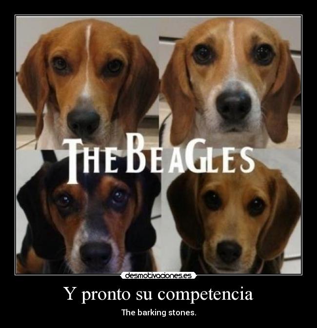 Y pronto su competencia - The barking stones.