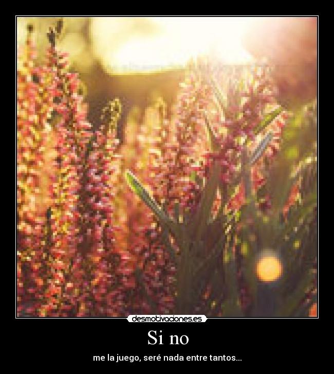 Si no - me la juego, seré nada entre tantos...
