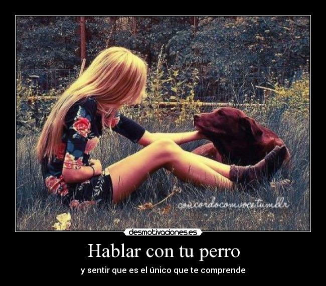 Hablar con tu perro - 