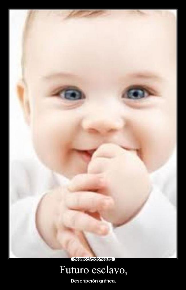 carteles puta sociedad drugar desmotivaciones