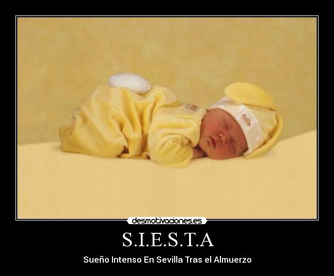 S.I.E.S.T.A - 