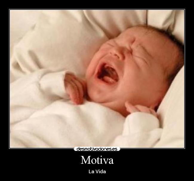 Motiva - La Vida