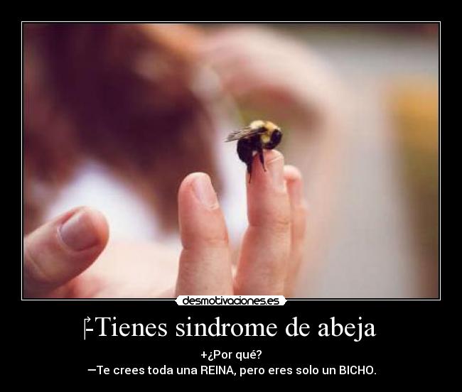 -Tienes sindrome de abeja - +¿Por qué?
—Te crees toda una REINA, pero eres solo un BICHO.