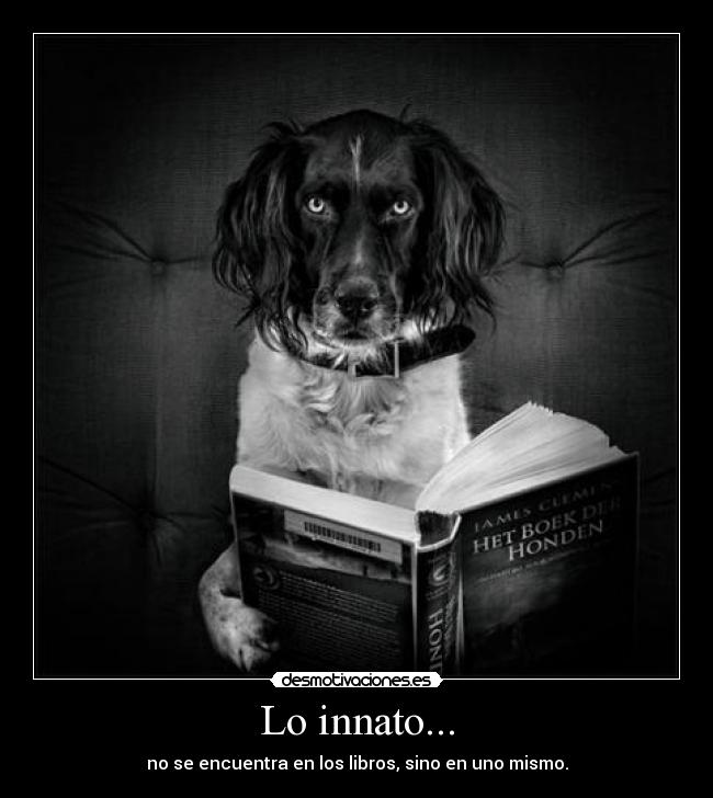 Lo innato... - no se encuentra en los libros, sino en uno mismo.