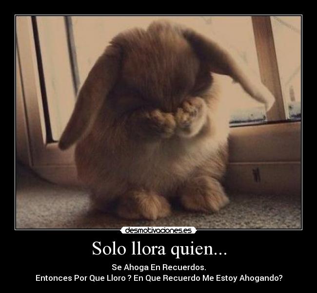 Solo llora quien... - 