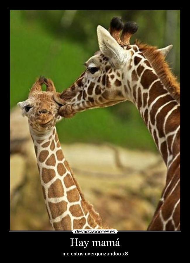 Hay mamá - me estas avergonzandoo xS