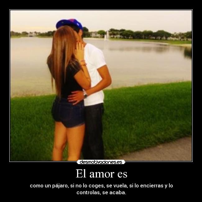 El amor es -
