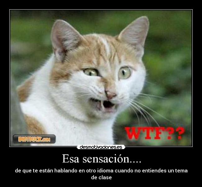 Esa sensación.... - de que te están hablando en otro idioma cuando no entiendes un tema de clase