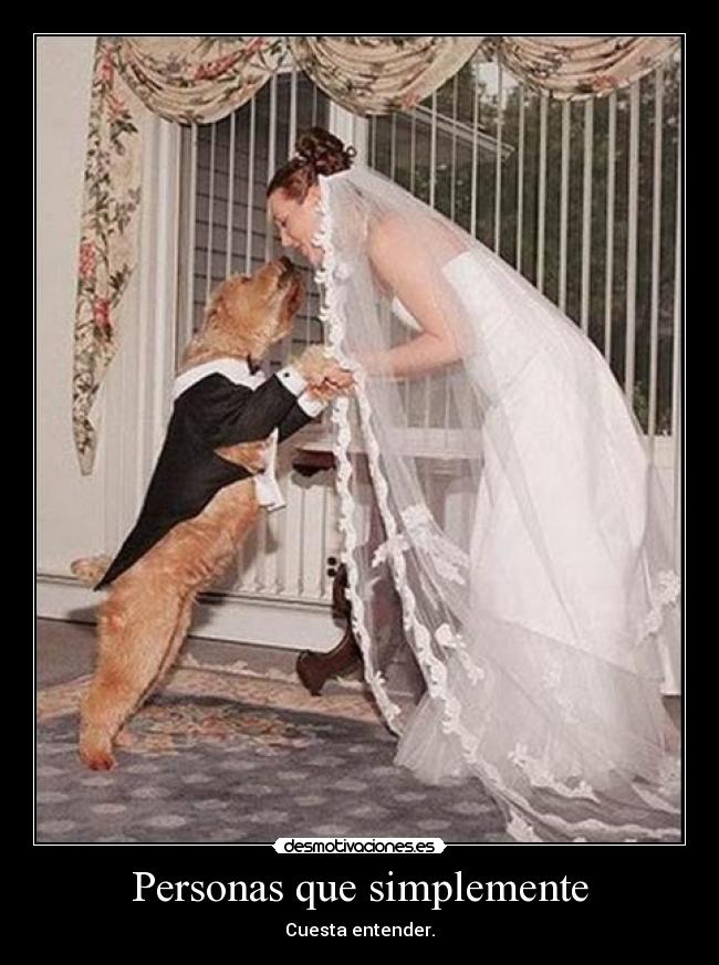 carteles esta mujer mete zoohappy desmotivaciones