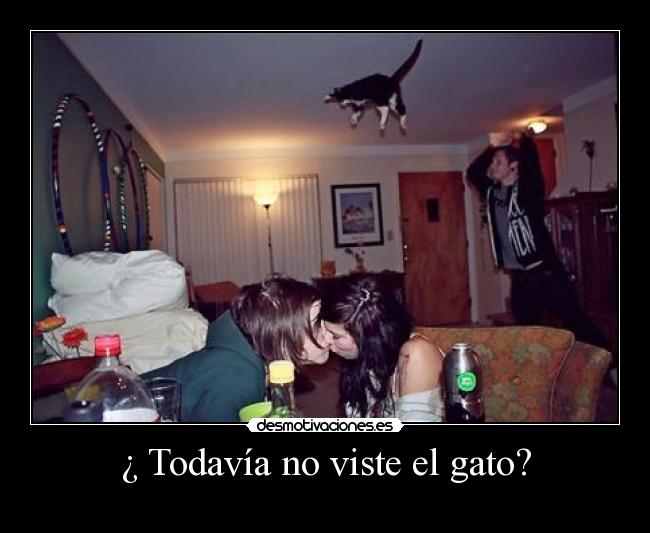¿ Todavía no viste el gato? - 