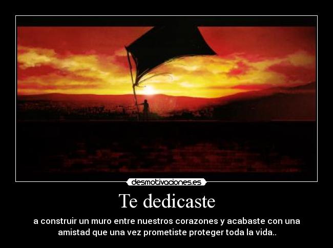 Te dedicaste -