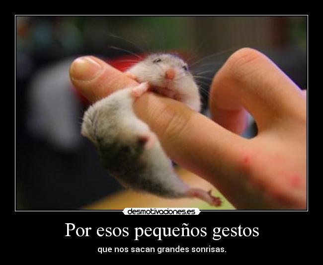 Por esos pequeños gestos -