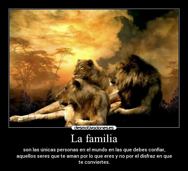 La familia - son las únicas personas en el mundo en las que debes confiar,
aquellos seres que te aman por lo que eres y no por el disfraz en que
te conviertes.