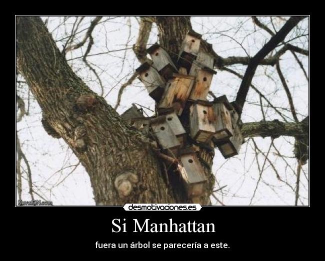 Si Manhattan - fuera un árbol se parecería a este.