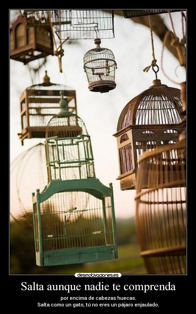 Salta aunque nadie te comprenda - por encima de cabezas huecas.
Salta como un gato, tú no eres un pájaro enjaulado.