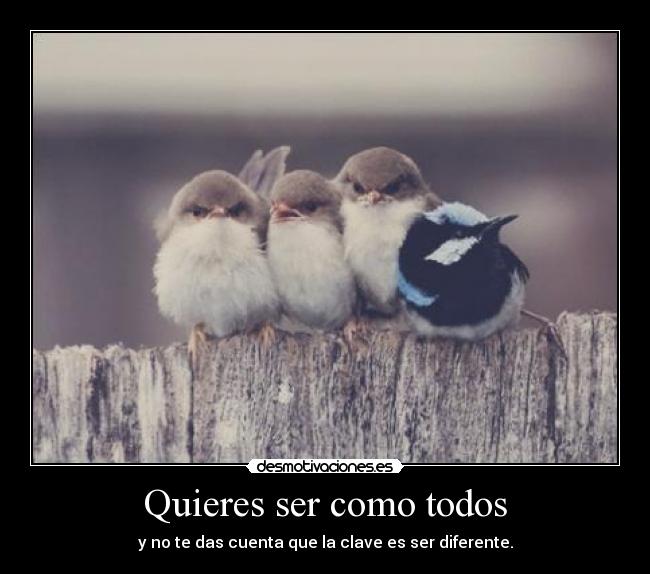 Quieres ser como todos - 