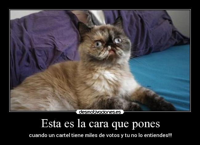 Esta es la cara que pones - 