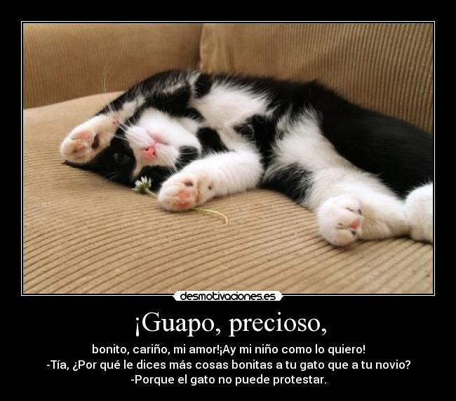 ¡Guapo, precioso, -