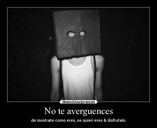 carteles averguences desmotivaciones