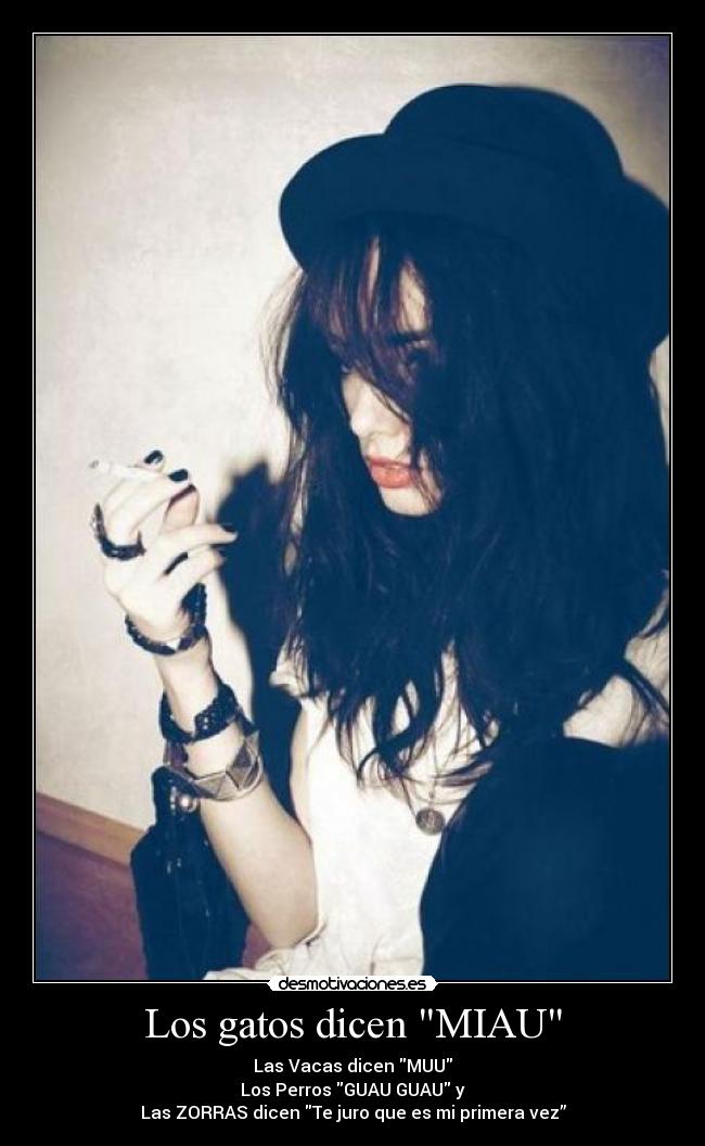 Los gatos dicen MIAU - Las Vacas dicen MUU
Los Perros GUAU GUAU y
Las ZORRAS dicen Te juro que es mi primera vez”