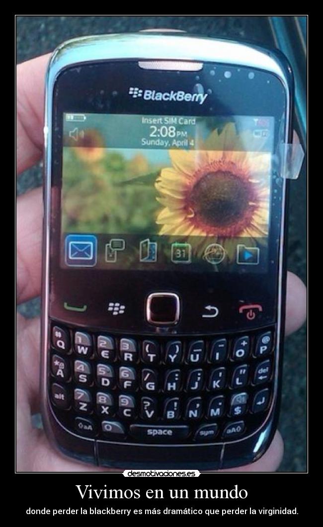 Vivimos en un mundo - donde perder la blackberry es más dramático que perder la virginidad.
