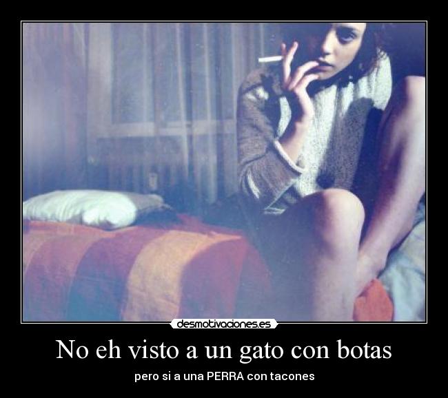 carteles cookie monster desmotivaciones