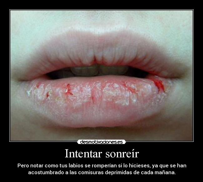 Intentar sonreír - Pero notar como tus labios se romperían si lo hicieses, ya que se han
acostumbrado a las comisuras deprimidas de cada mañana.